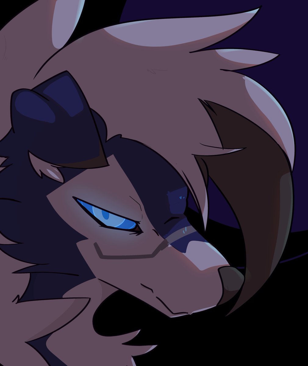 Zub ✨🌙 tweet media