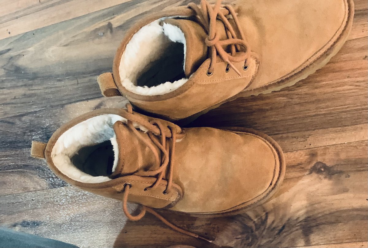 softsol3sshan92 tweet media