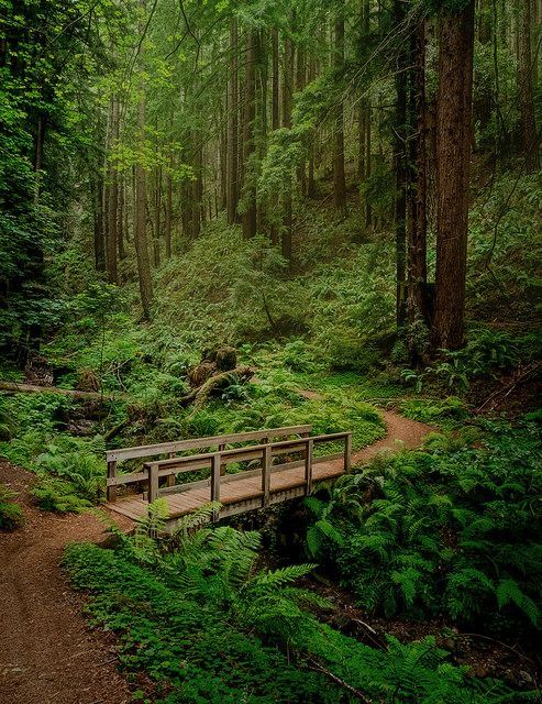 earthserenityy's tweet photo. Let's go on hiking https://t.co/0aXFDnzvtg