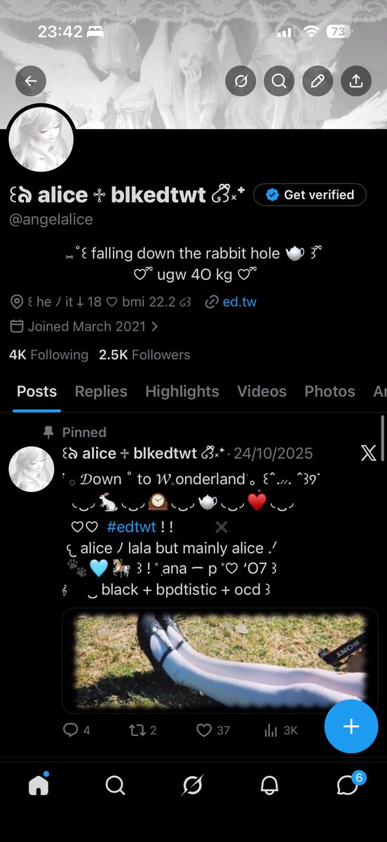 𝓪lice ⊹ ˖ Ი𐑼 🧁ིྀ tweet media