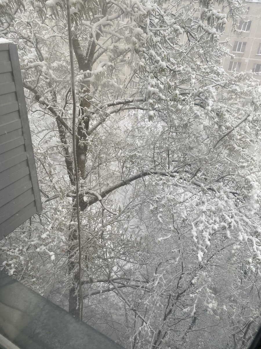 🇷🇺 ArbuzChan 🇯🇵 tweet media