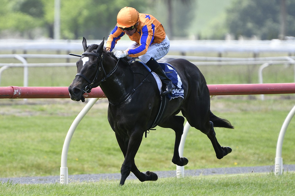 Te Akau Racing tweet media