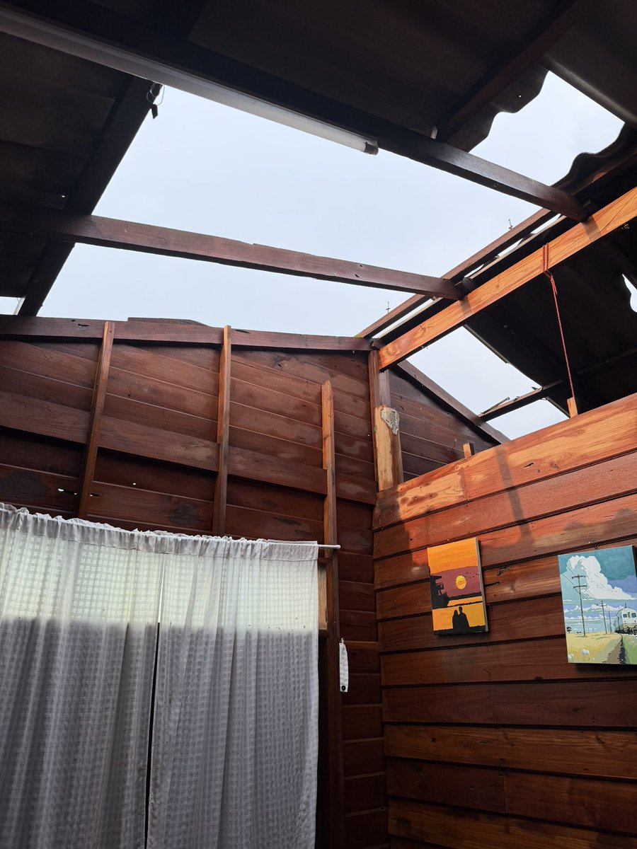 🪐🌻PEACHY🐳52Hz🌻🪐 tweet media