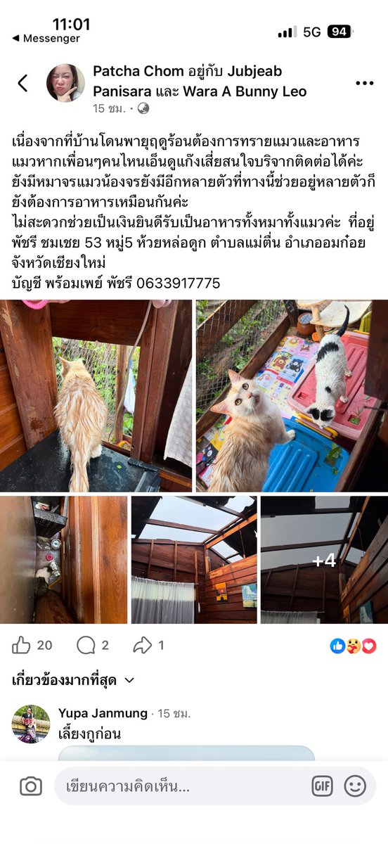 🪐🌻PEACHY🐳52Hz🌻🪐 tweet media