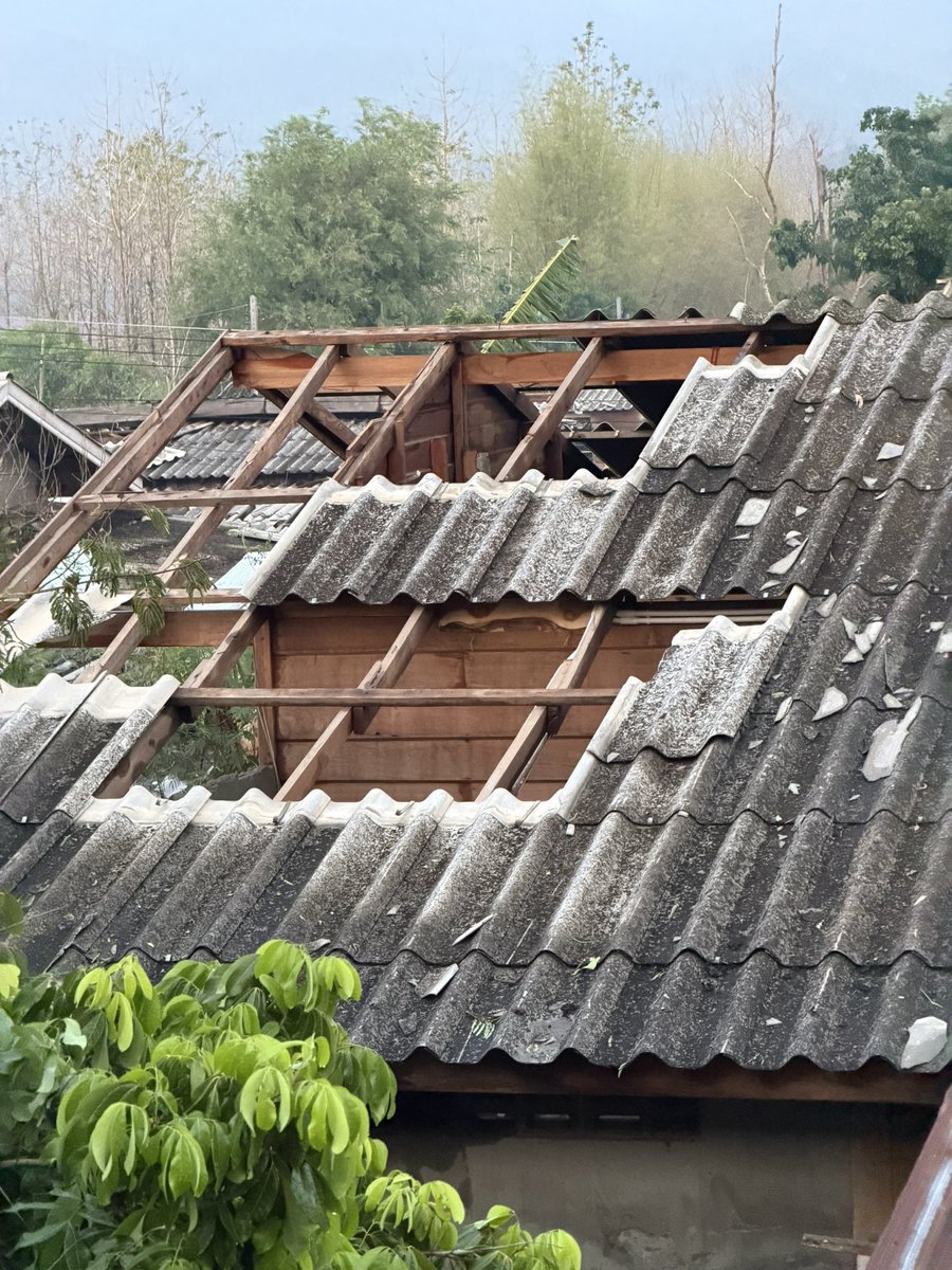 🪐🌻PEACHY🐳52Hz🌻🪐 tweet media