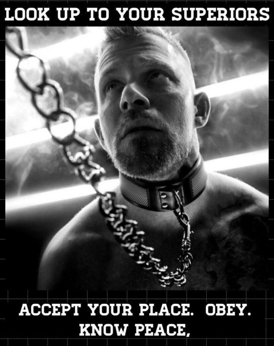 Master Robert tweet media