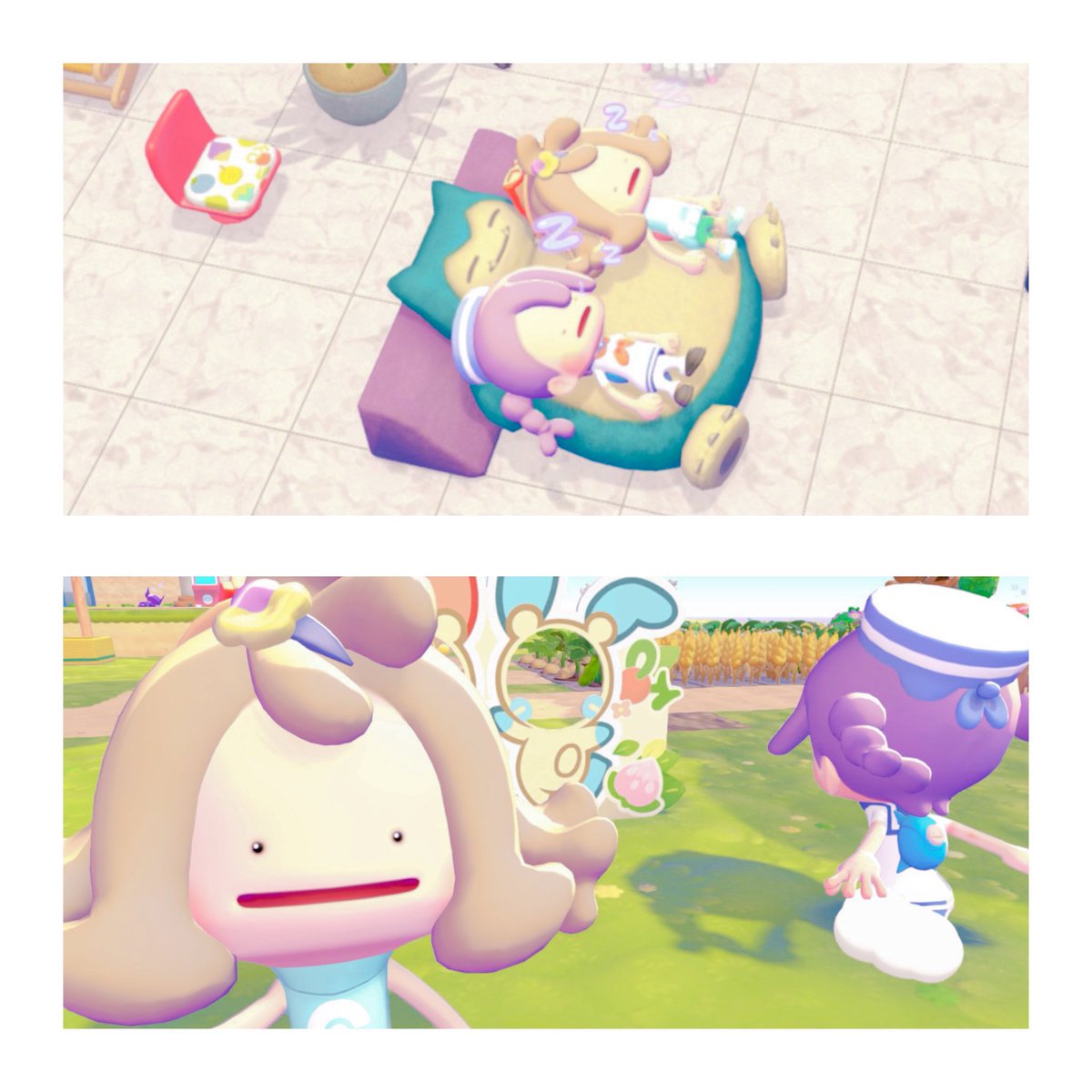 ՞. ̫.՞めるぅ🍼⋆꙳ tweet media