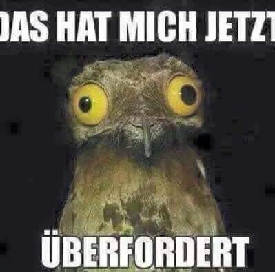 Der Korruptionsverachter🇩🇪🇬🇷🇺🇸💙 tweet media