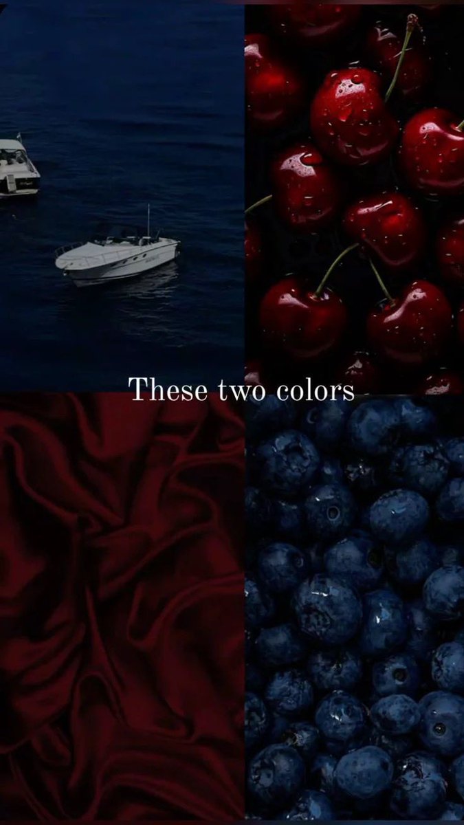 ⊹ ࣪ ﹏𓊝﹏𓂁﹏⊹ ࣪ ˖ Blue 𓆝 𓆟 𓆞 𓆝 tweet media