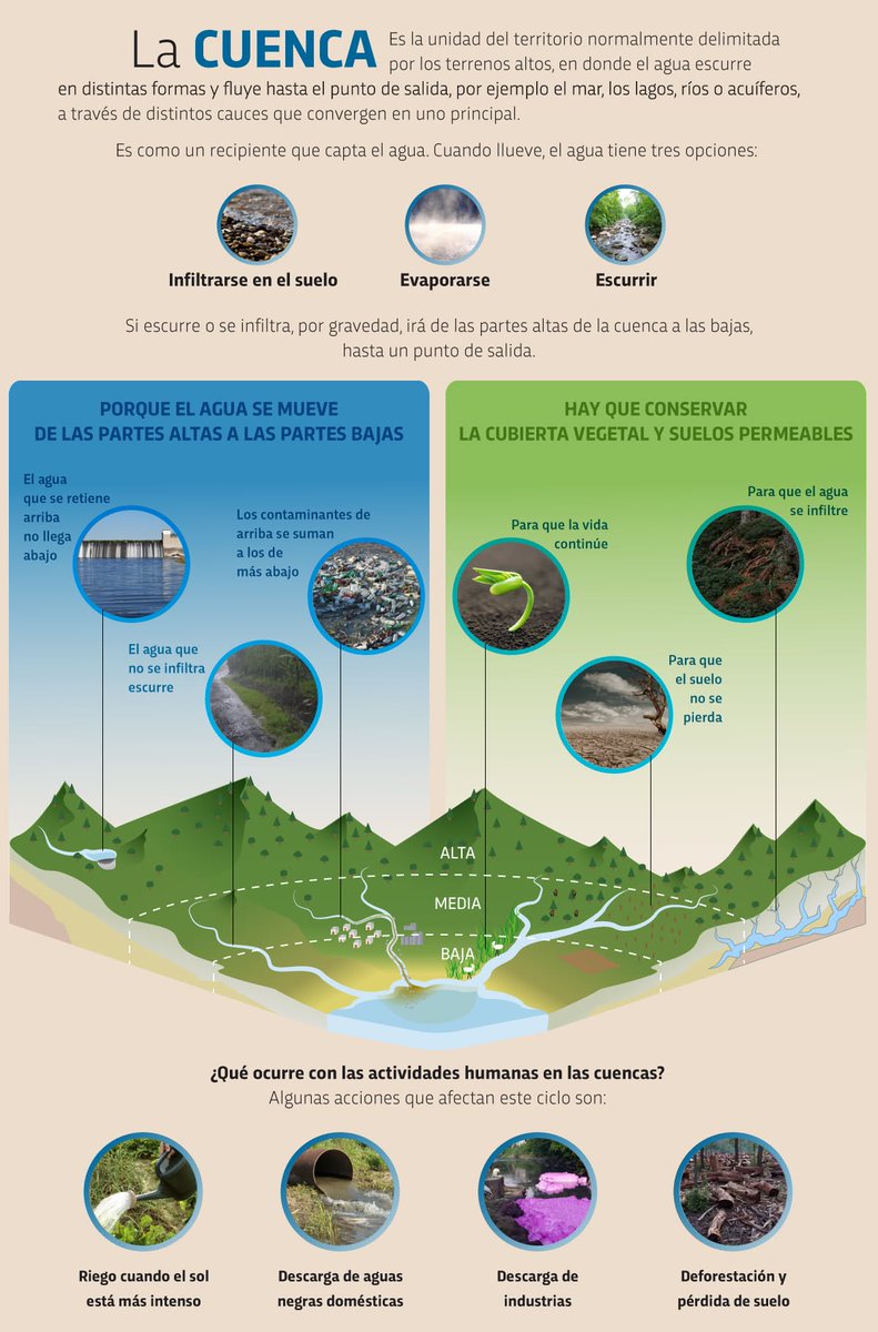 Agua_UNAM's tweet image. ¿Crees que una #Cuenca solo es agua corriendo? Piénsalo de nuevo. 🧐

Hoy te mostramos lo que consisten las cuencas: la unidad básica de la vida en la #Tierra. Entenderlas es el primer paso para ayudar al #MedioAmbiente. 🌳💧

#UNAM #AguaUNAM #DivulgaciónHídrica #CulturadelAgua