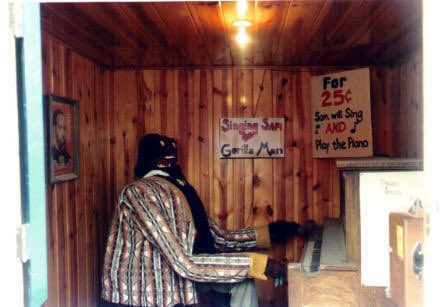 BarkTheSpark tweet media