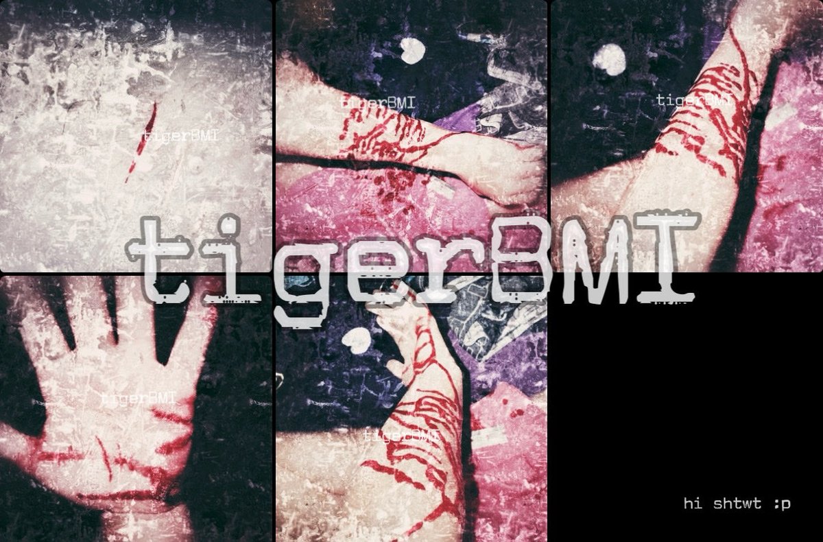 🐯TylerOMAD tweet media