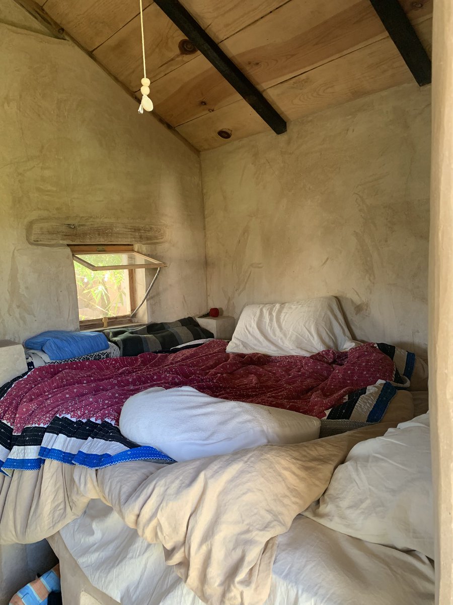 BAJADOBE (QUICKLIME MAXIMALIST) tweet media