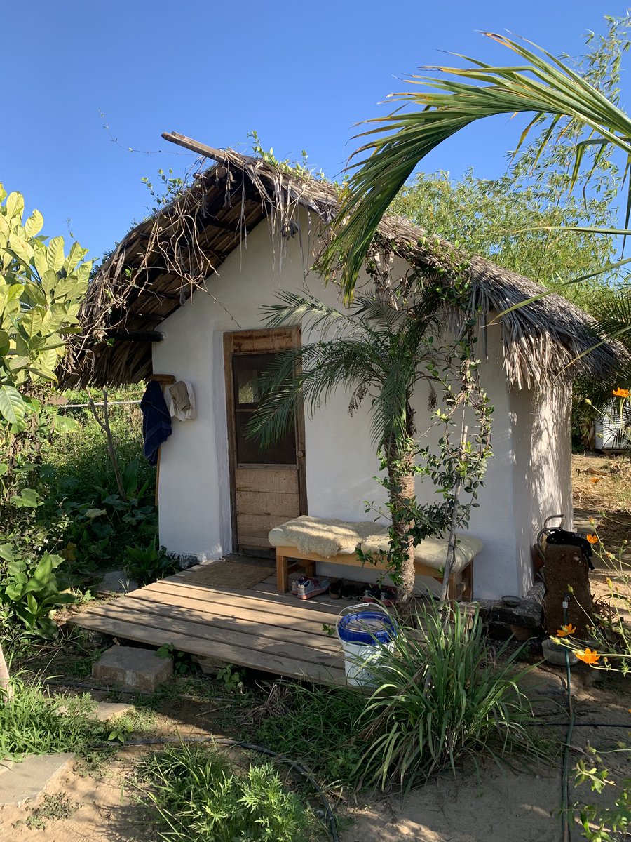 BAJADOBE (QUICKLIME MAXIMALIST) tweet media