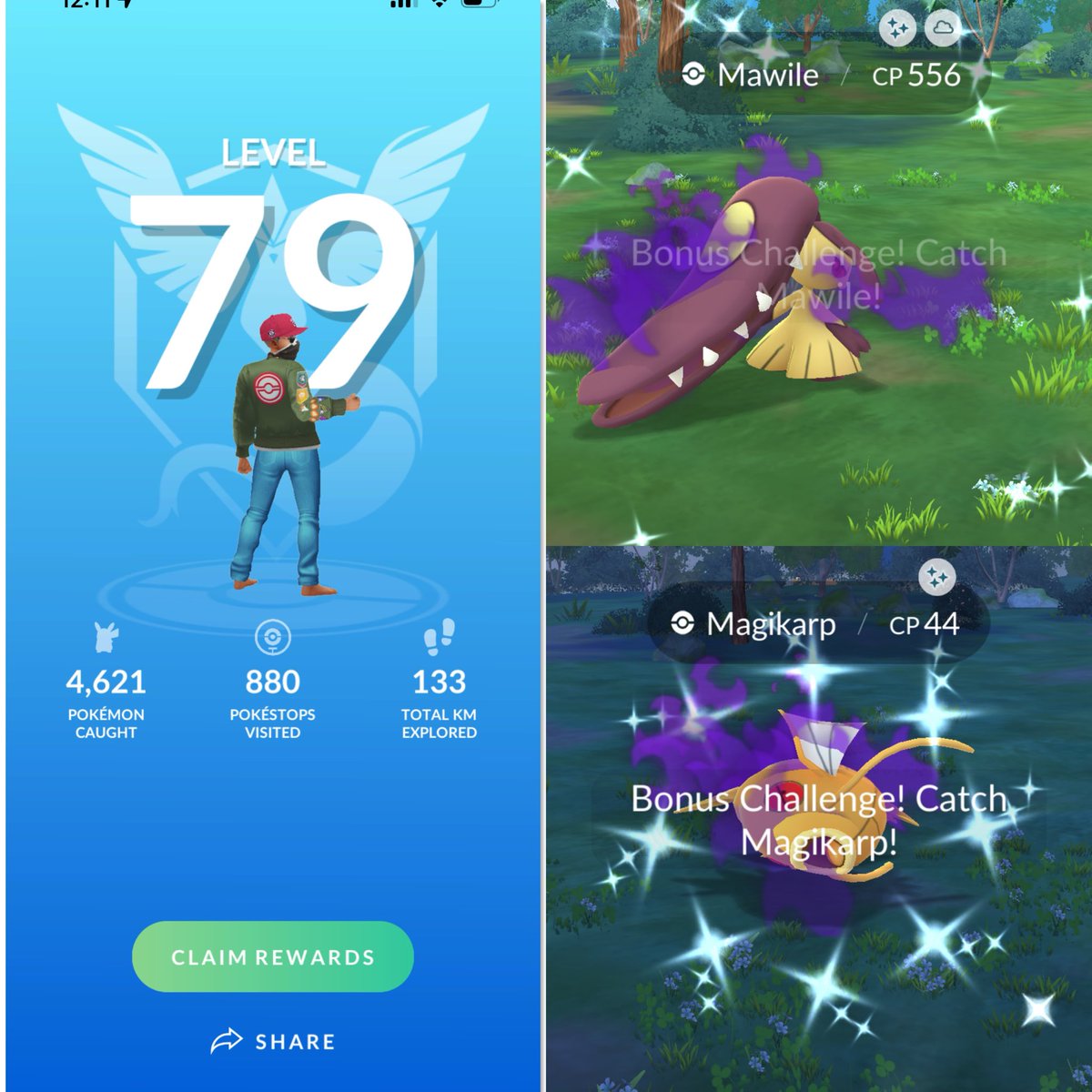 pokemonjuice's tweet image. On to the next one ✨ 

#pokemongo