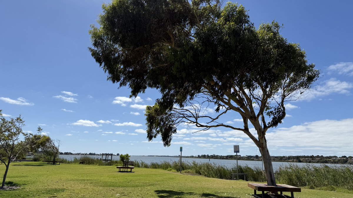 mitzyelliott's tweet photo. #dailytree
#Goolwa #SouthOz π¦πΊ https://t.co/lzsWduhoIg