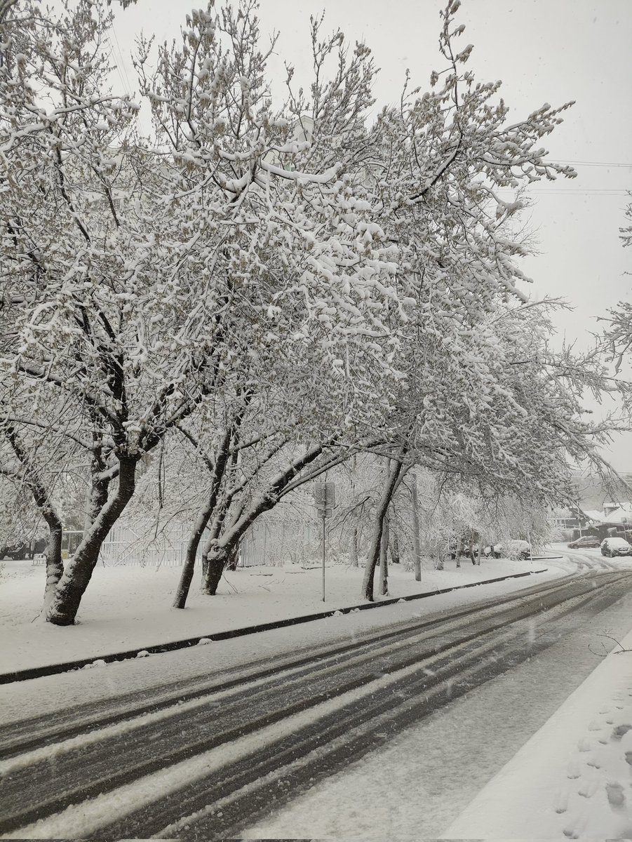 sp77✈️🚀 tweet media