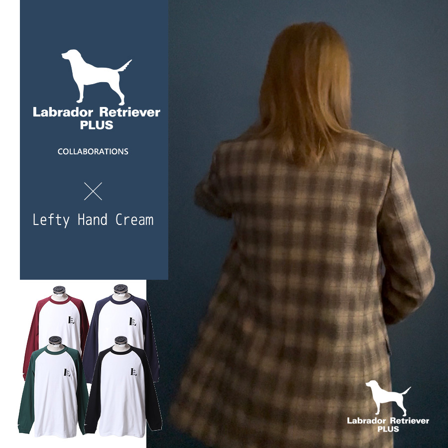 Labrador Retriever PLUS tweet media