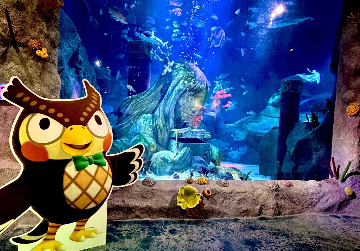 あつ森コラボ水族館行ったわよ！！