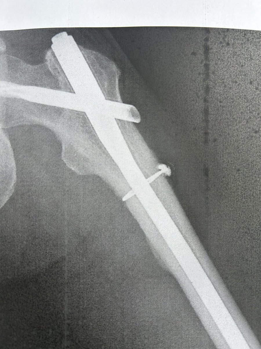 KUWAだ　春〜秋は蜂蜜売ってます🐝 tweet media