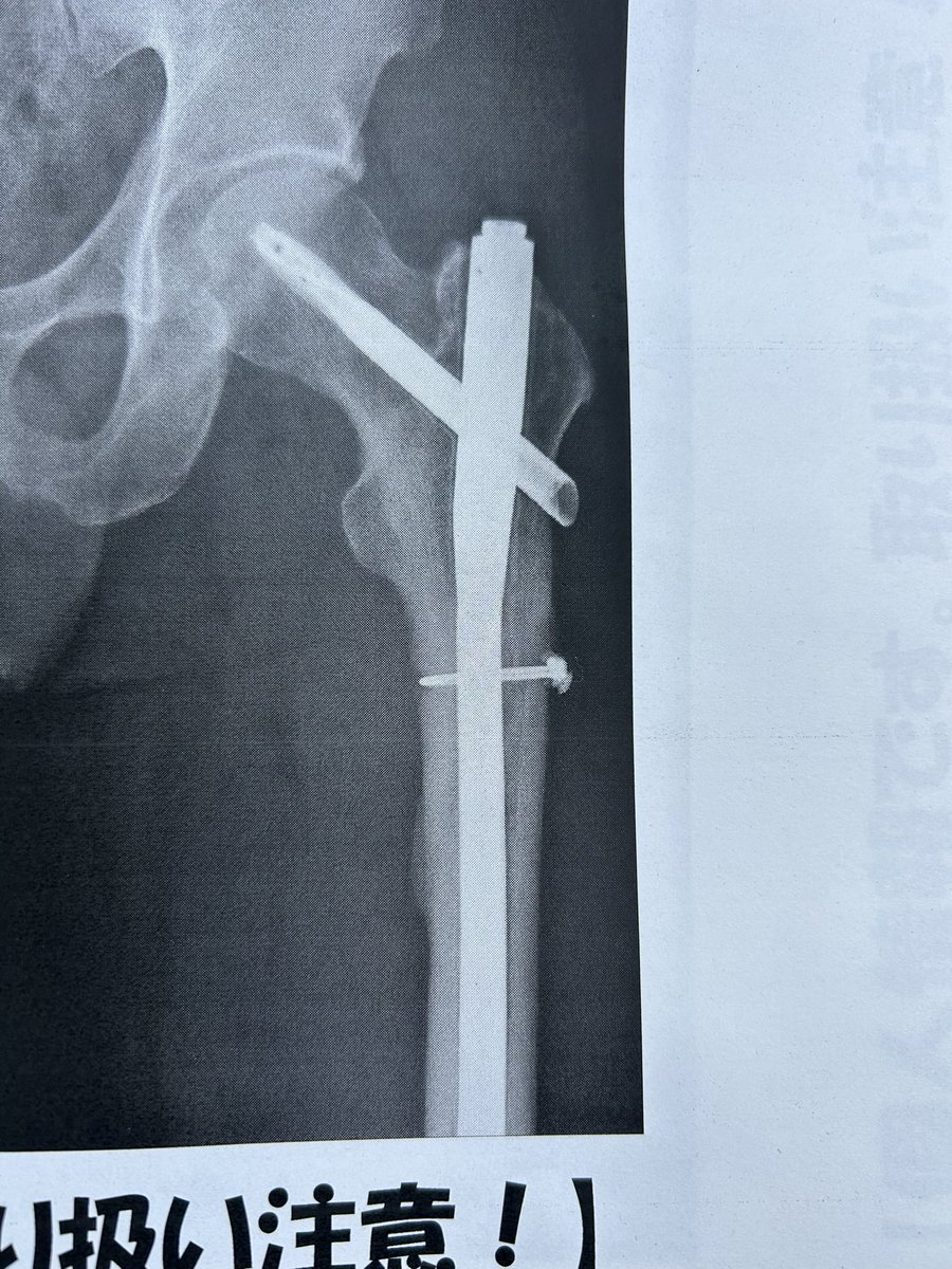 KUWAだ　春〜秋は蜂蜜売ってます🐝 tweet media