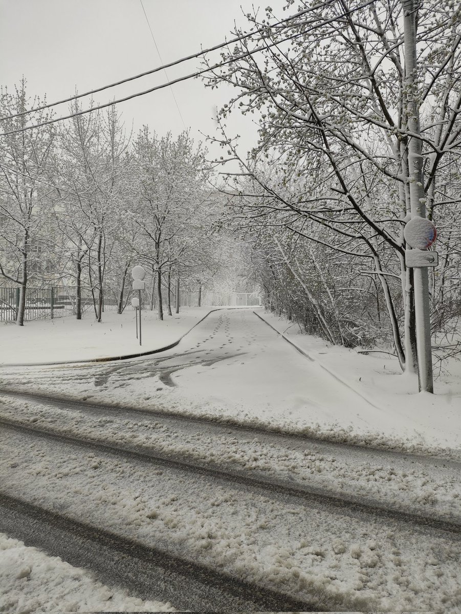 sp77✈️🚀 tweet media