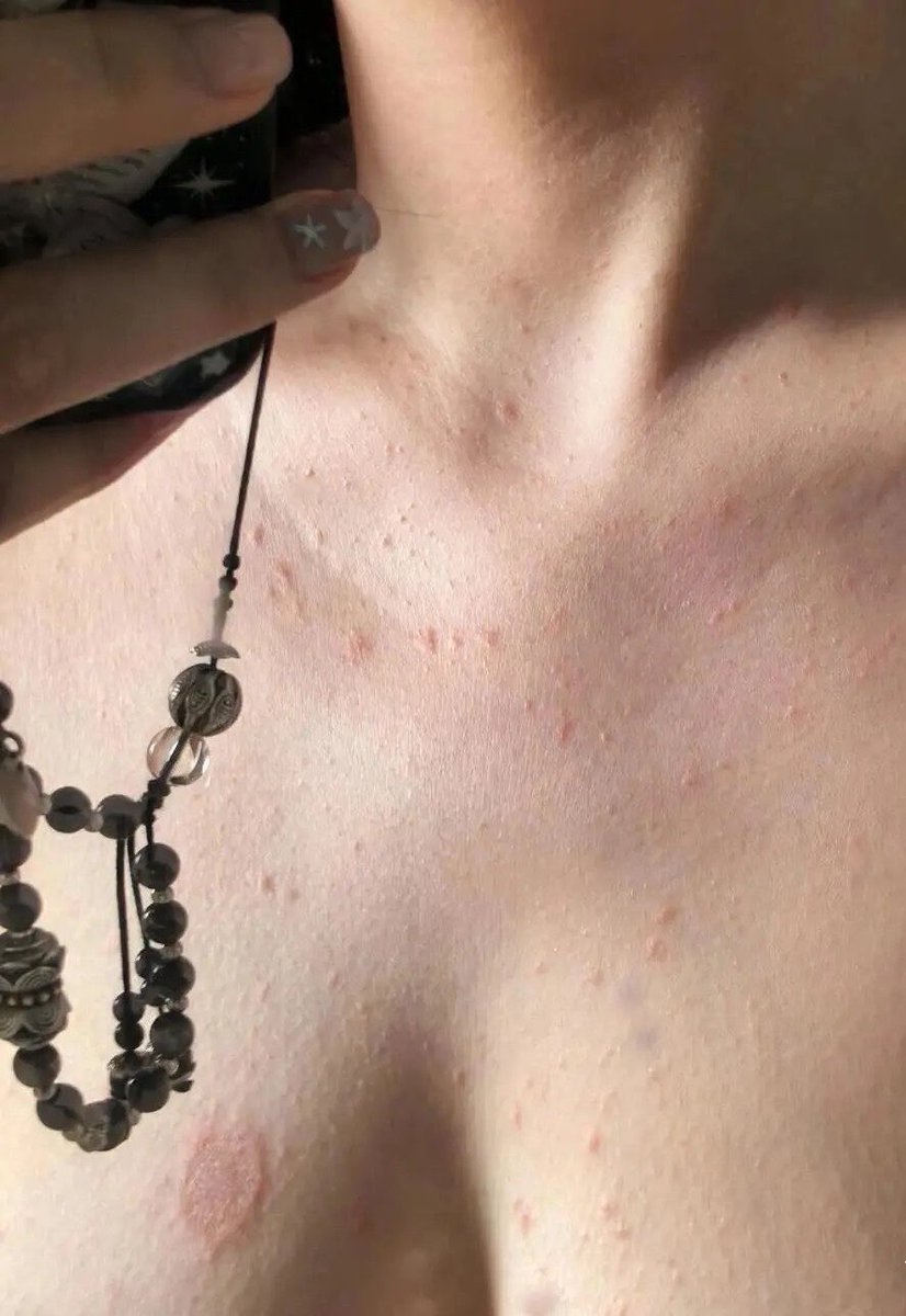 招财猫 tweet media