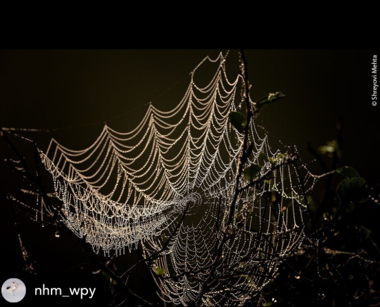 OmkarsClicks's tweet image. Some people are born with a talent for #Photography. 
This is a wonderful click by Shreyovi Mehta from 2025. 
PFA one more of her wonderful works.
You could follow the young lady for inspiration and insights 
Source: instagram.com/p/DCJZ95zTpOI/…

#justsaying