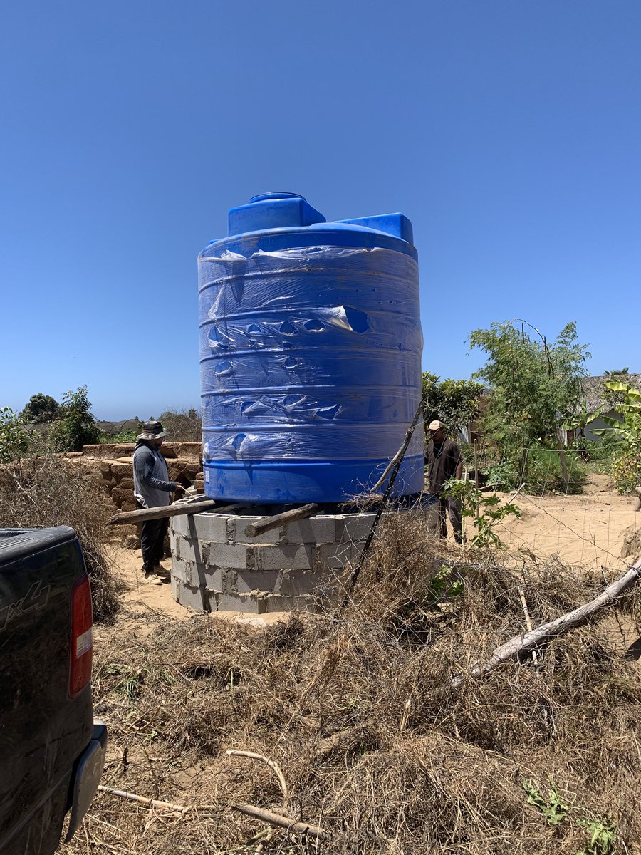 BAJADOBE (QUICKLIME MAXIMALIST) tweet media