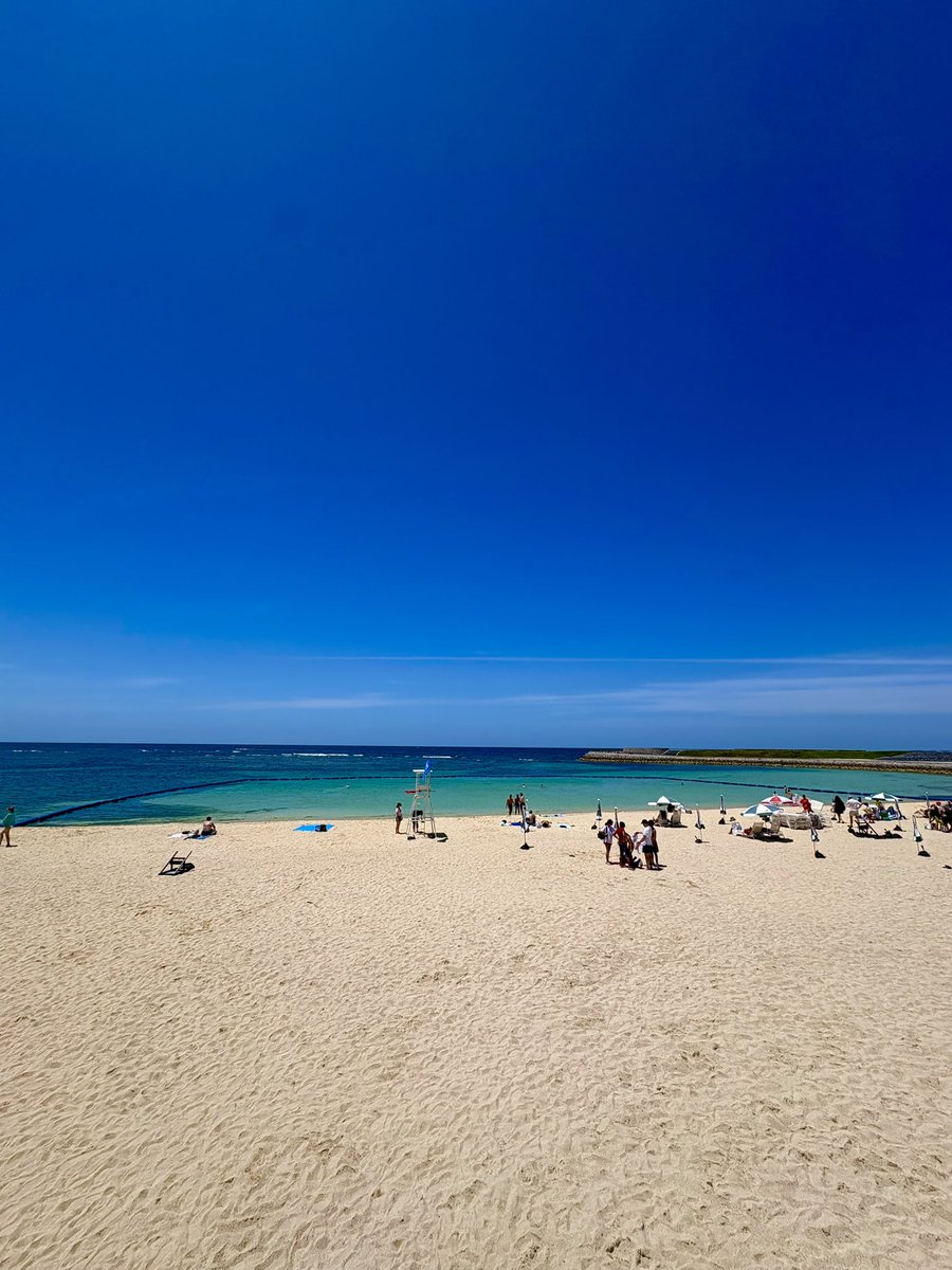 おまる🌺アラサー沖縄移住民🏖️ tweet media