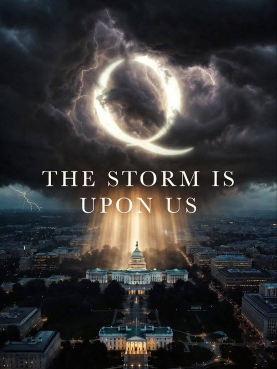 Q STORM 1776🇺🇸 tweet media