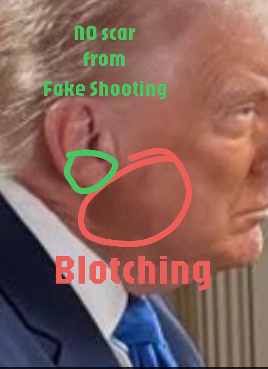 TruthTaz tweet media