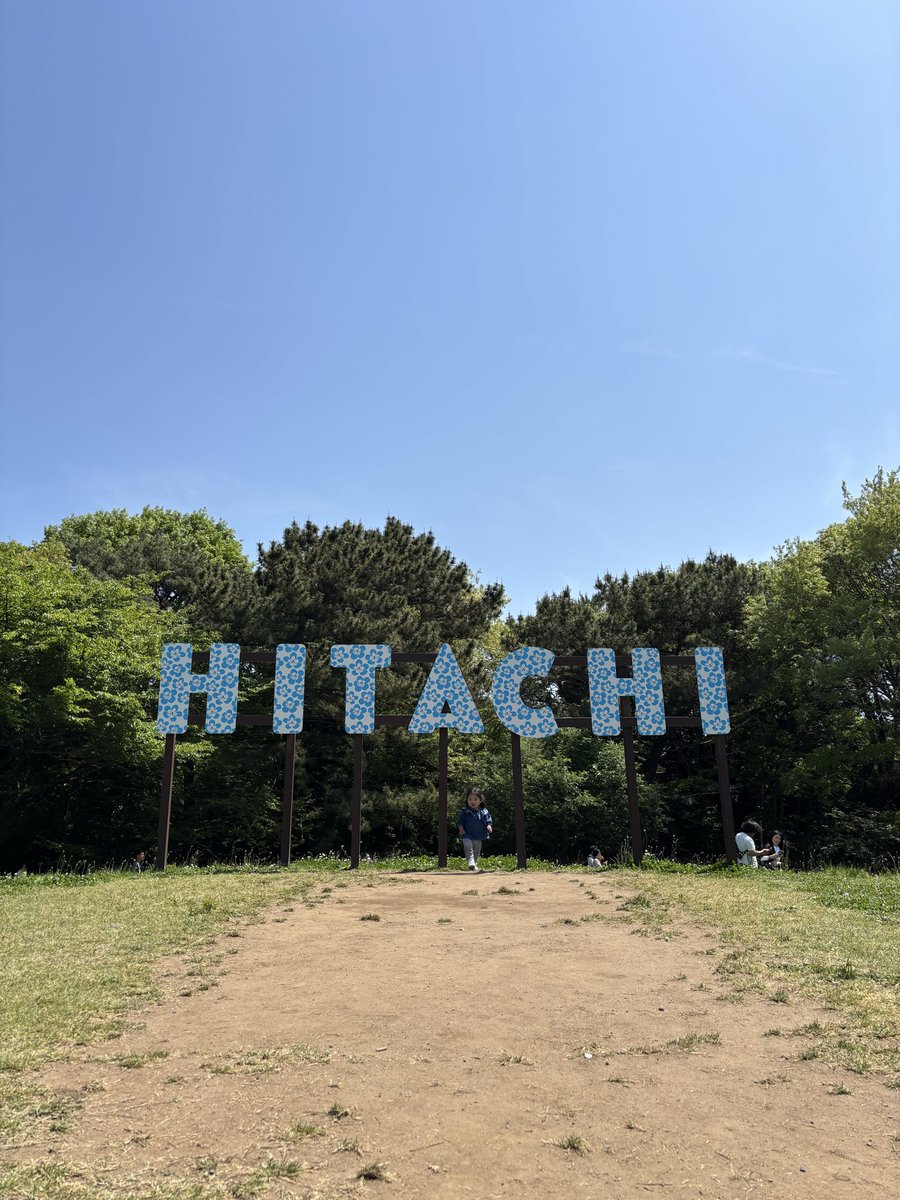 しほみん tweet media