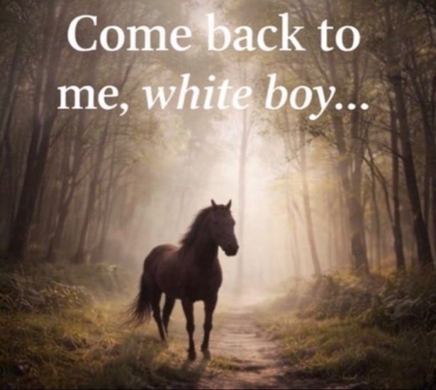 ✦︎Glam✦︎ tweet media