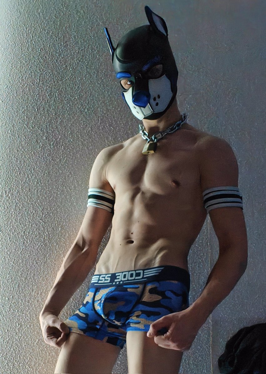 Pup Dutch 🔜 🇬🇧Animalz tweet media