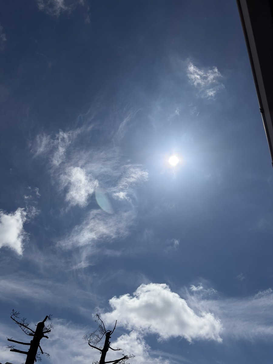 朝の大雨が嘘みたいだ