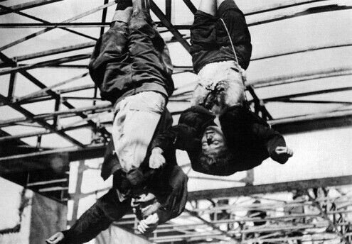 SadaaShree's tweet image. #TodayInHistory

Italian partisans capture Benito Mussolini near Dongo in 1945 as he tries to flee toward Switzerland disguised as a German soldier, ending his escape attempt in the final days of World War II in Europe.

Mussolini and his mistress Clara Petacci were executed by