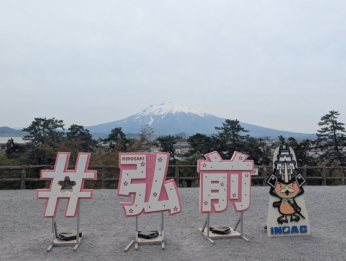 "にょる。" tweet media