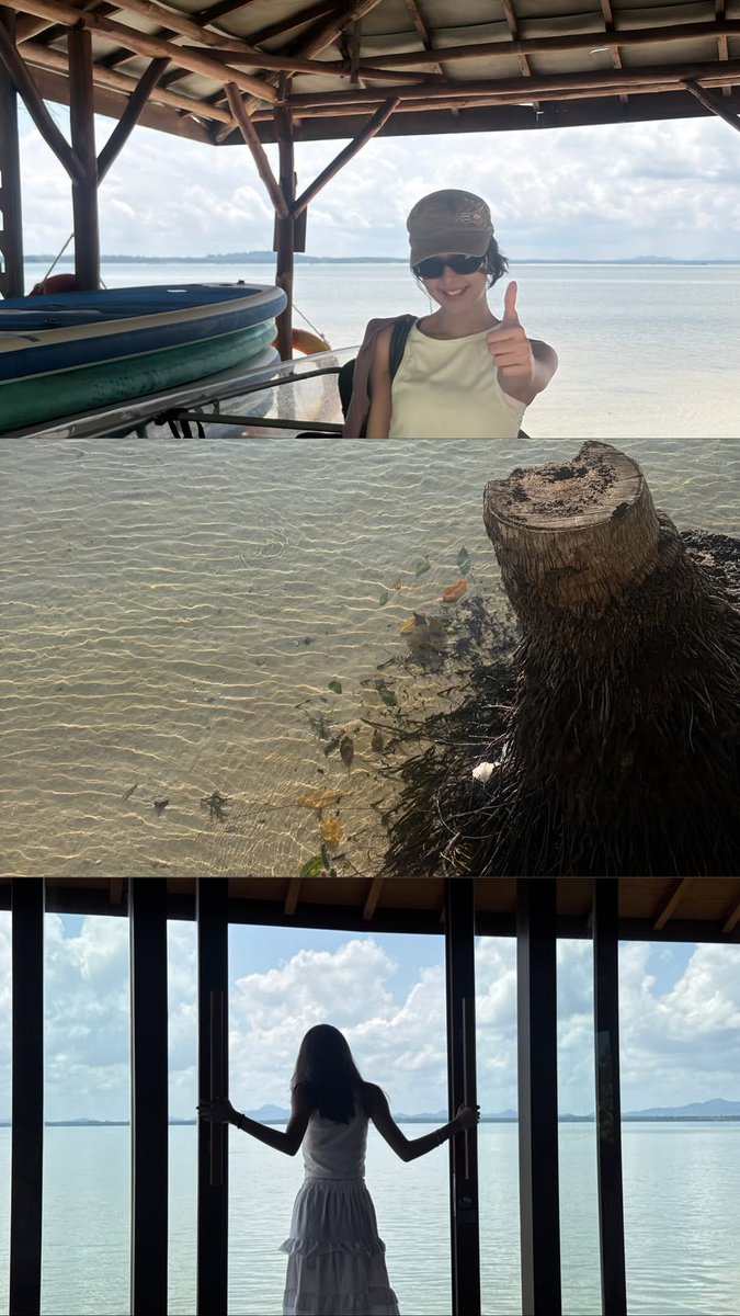 DEGREES #TernakUlet 🐛 tweet media