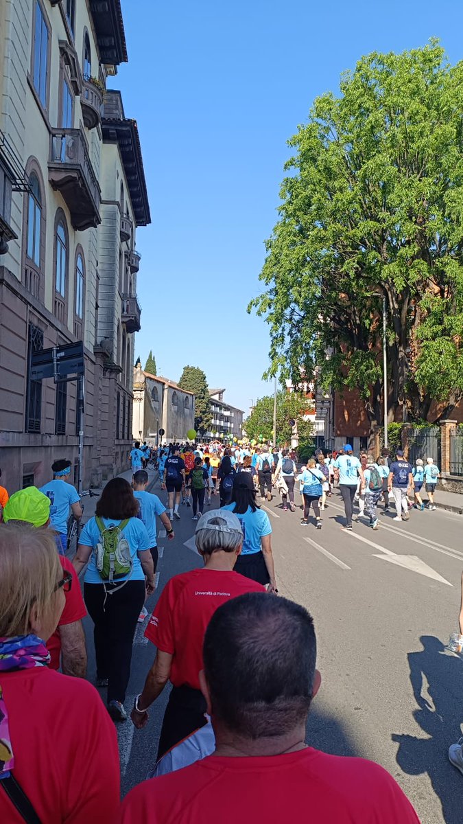 Catia Nicetto tweet media