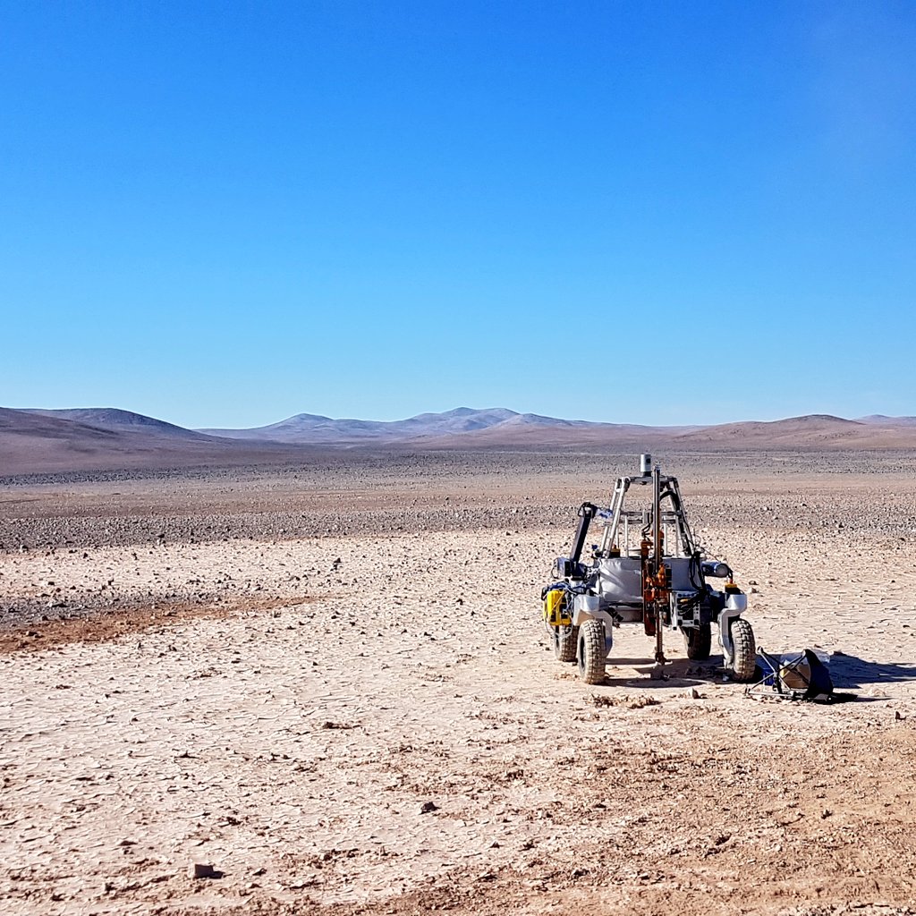 Cristina Dorador Ortiz 🦩 tweet media