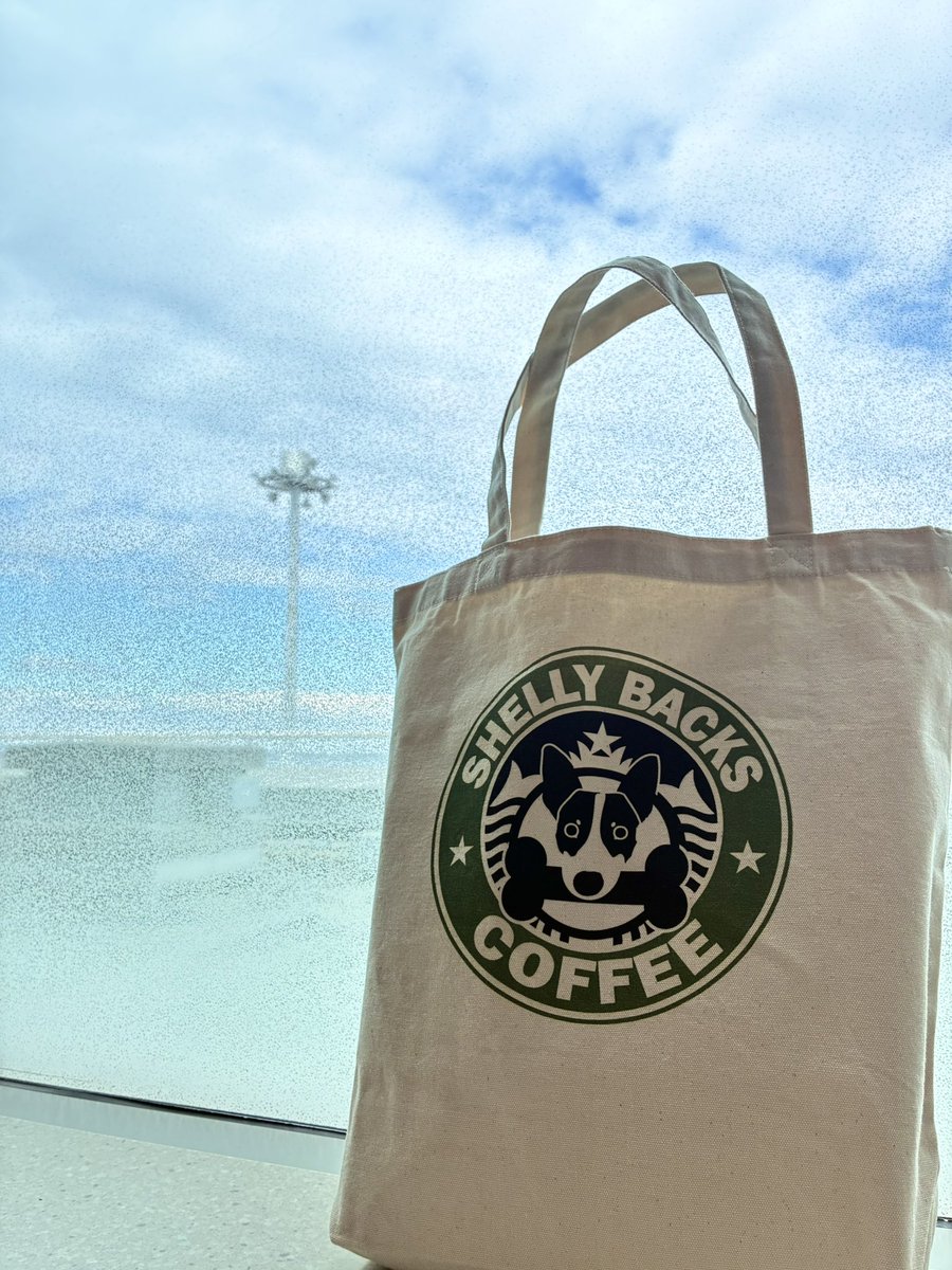 浦壁多恵 tweet media