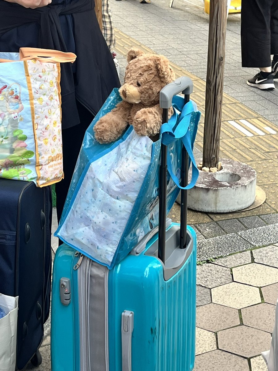 タイガー リリー