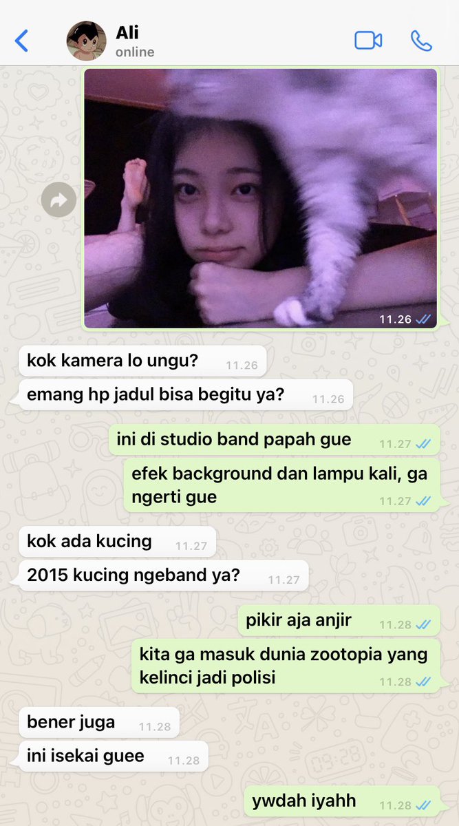 amouriahn's tweet photo. kucing ngeband https://t.co/vuLcgTfwpE