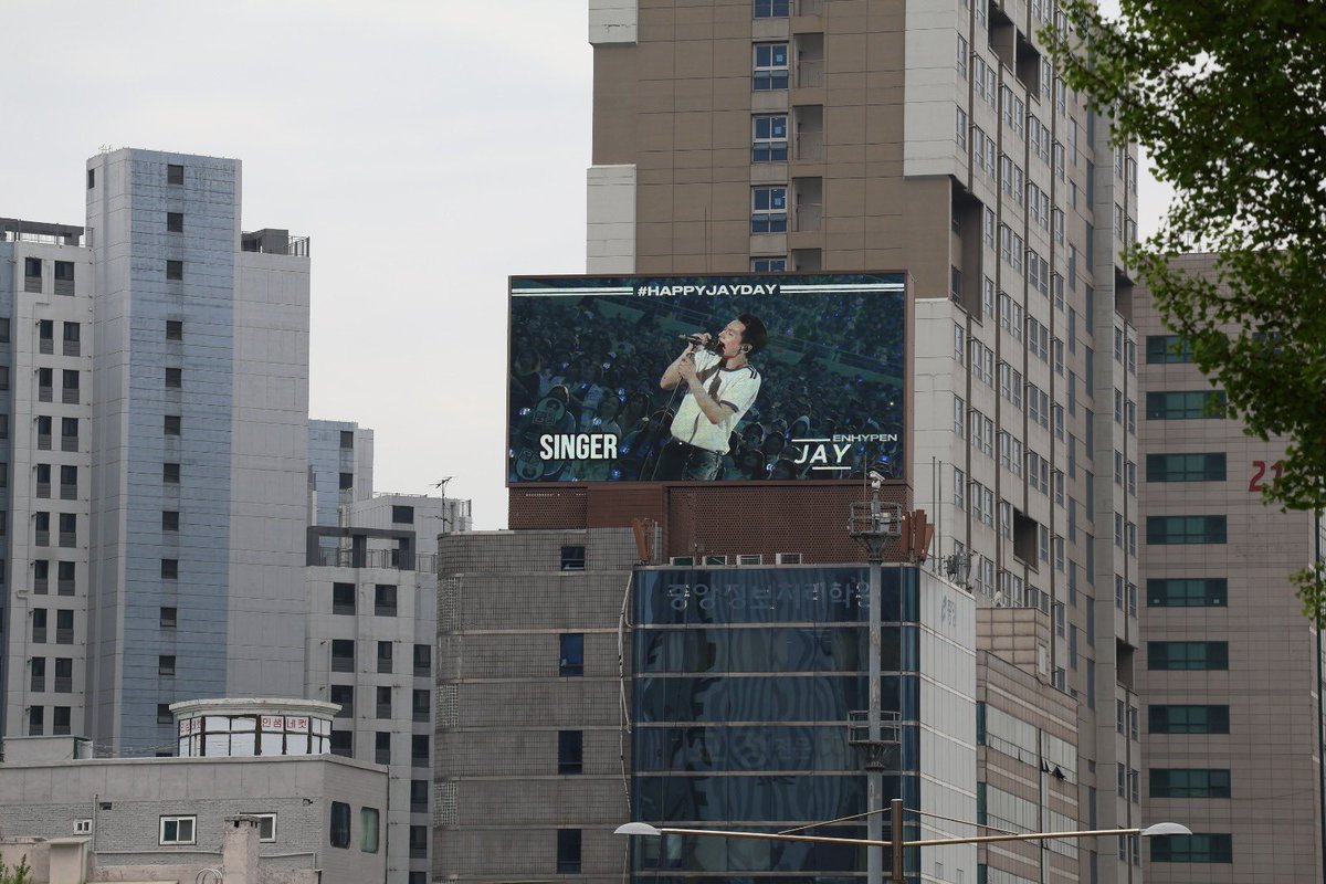 스타돌(STARDOL) tweet media
