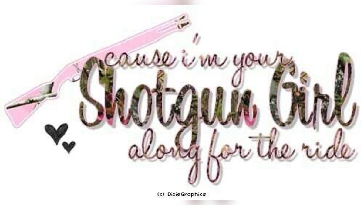 Lin ⚓️🐻 tweet media