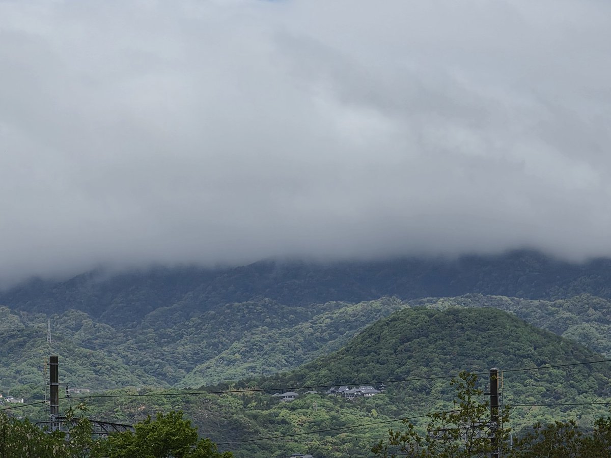 緑が映えてきて綺麗になる季節が近づいてきましたね