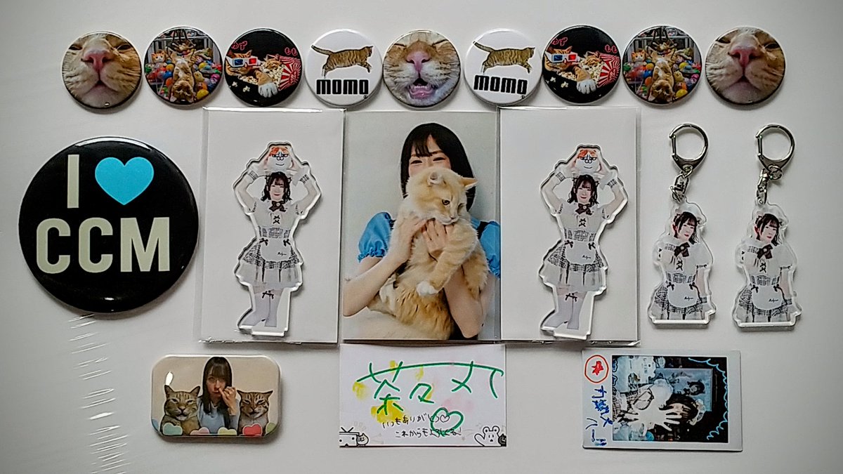 配信視聴用 tweet media