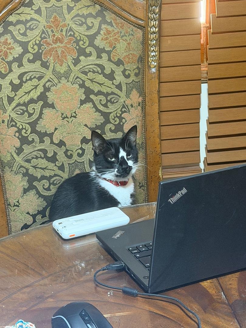 Kyros Psaras👽♦️ tweet media