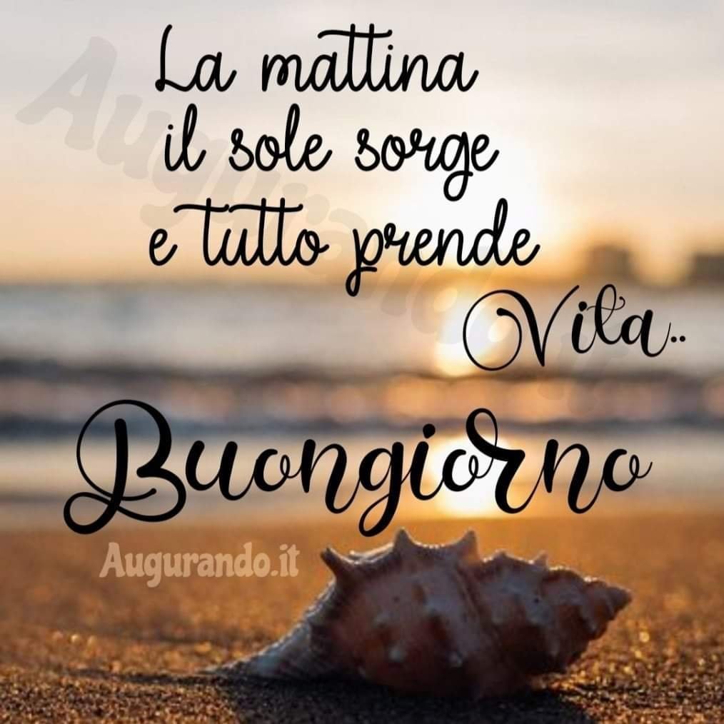 Stefania S. tweet media